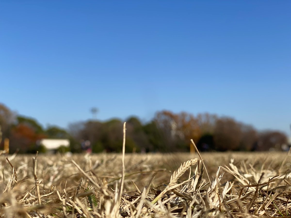 naohiro_fuji's tweet image. おはようございます、
そしてこんにちは😃
週末は新曲の制作‼️
andアートワーク🎨
#Compositing #mix #Arranging 
#新曲制作