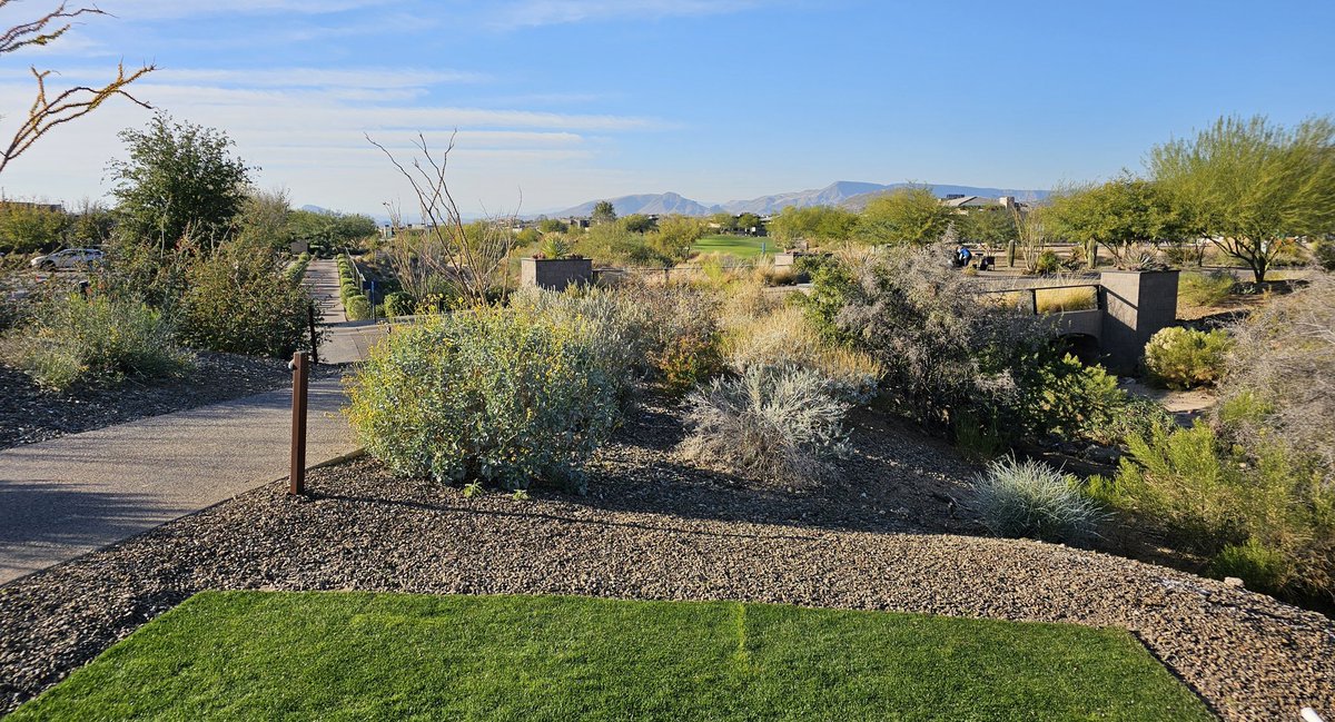 teddigiacomo's tweet photo. The #7 course 18 hole par 3 @ Desert Mt. is a must play after playing any of the other 6 courses. #1 Plays 252 yds
#Spectacular #GreatTest #Top5day https://t.co/0dFpFkd2cP
