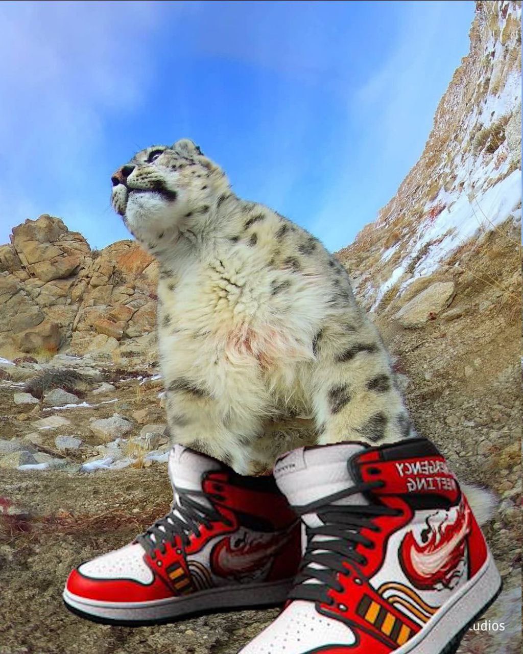 Sick kicks shoes best sale