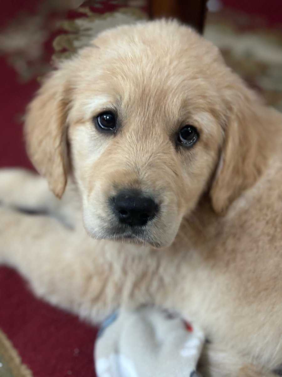 overcome tweet media