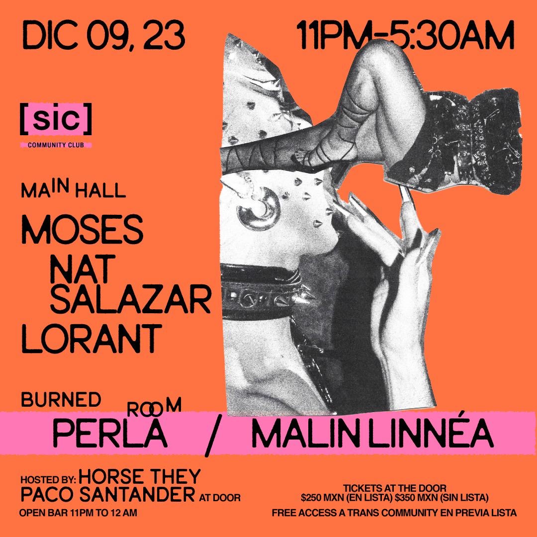 Malin Linnéa | Vinyl DJ Miami tweet media
