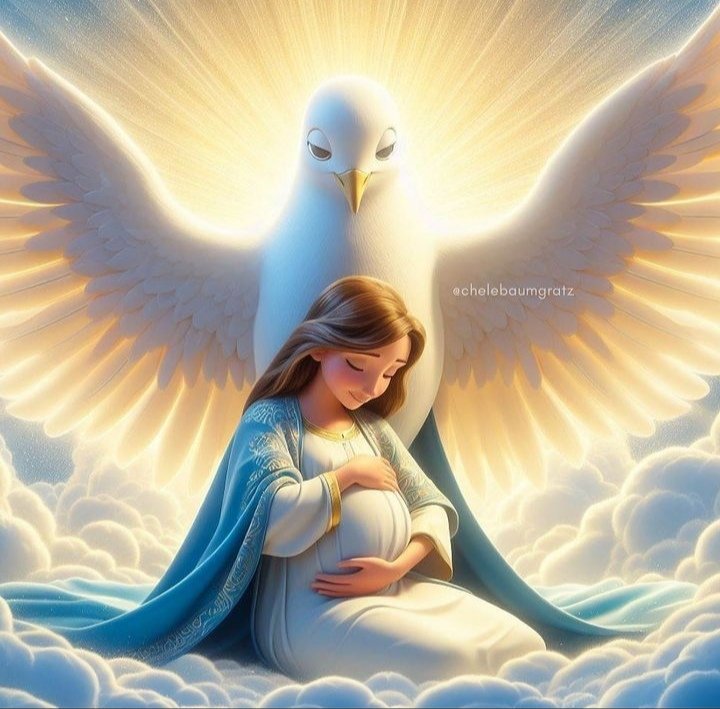 jahy_de's tweet photo. Amado Dios, tu preparaste en la Inmaculada Virgen María, una digna morada para tu Hijo Jesús.
#inmaculadaconcepcion 
#amor 
#madre https://t.co/uEfqqOtfLY