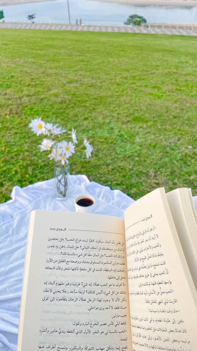 بلقيس tweet media