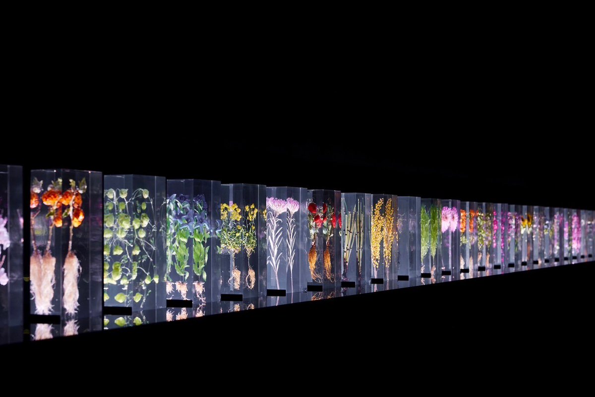 azumamakoto's tweet photo. “A Chaotic Garden”
in NGV @ngvmelbourne  Triennial

Date: 3 Dec, 2023 - 7 Apr, 2024
Location: Melbourne, Australia 
Come and explore!

#azumamakoto
#amkk
#東信花樹研究所
#NGV
#NGVtriennial
#Melbourne
#blockflowers
#droptime https://t.co/V1qCA3wwQs
