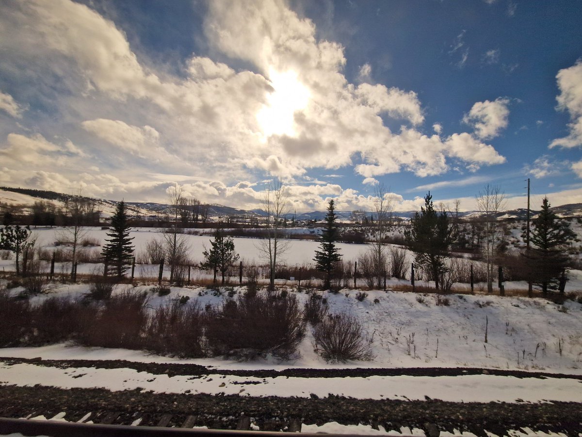 Cameron Patterson tweet media