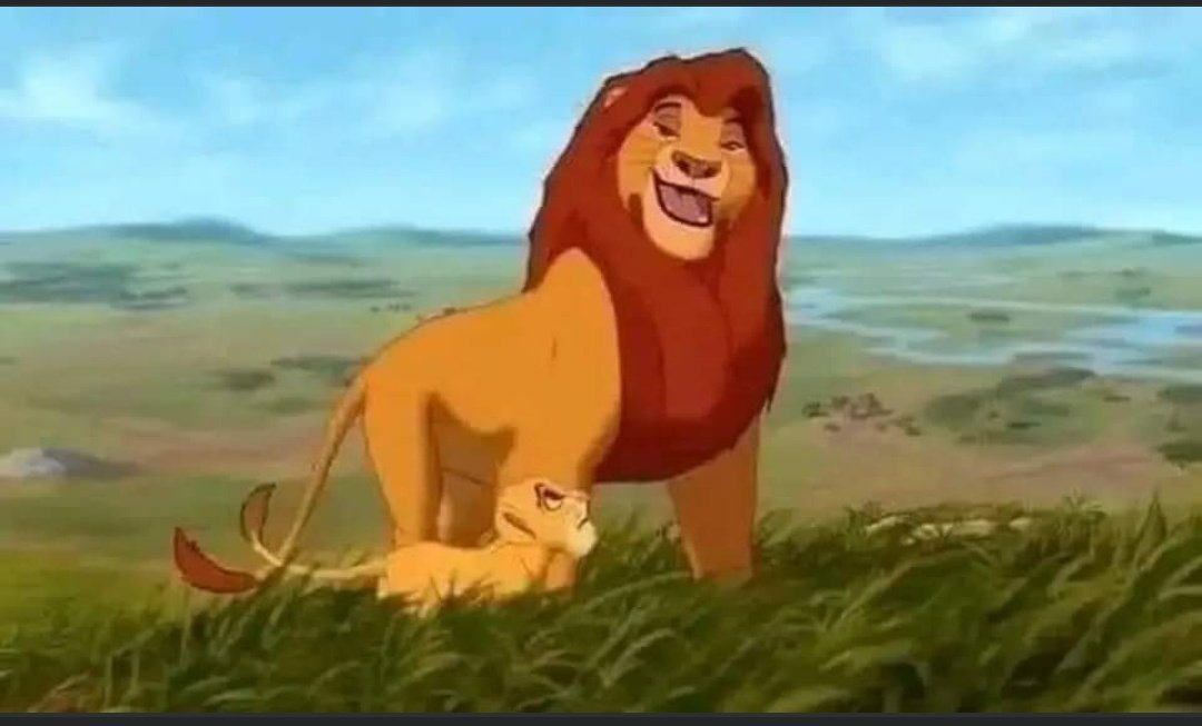 عارف ي سيمبا لما تروح 5 صيدله .. هيطلع عين امك 🤌