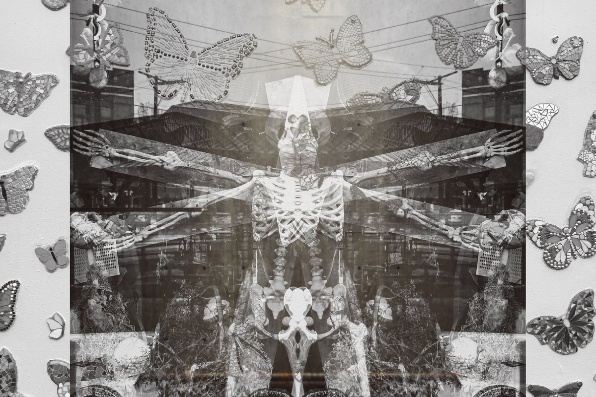 'Death of the Butterfly Quadruped'

#Concept #Art #ConceptArt #ScaryArt #PrettyArt #BlackAndWhiteArt #BlackAndWhitePhotography #AlienArt #ButterflyArt #Imagination #NFT #Trending #TrendingArt #PhotoshopMix #PhotoshopExpress #AdobeLightroom #AlbumArt #ApocalypticNewsFlash #Photos