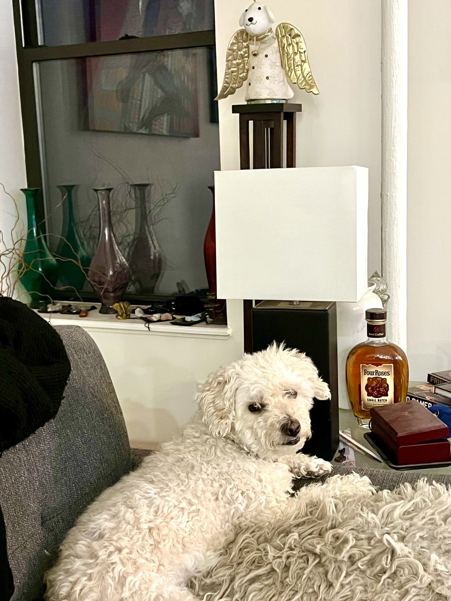 TheNotoriousNIK's tweet photo. βSup?! We gonna get a #christmastree for that tree topper anytime soon? I mean itβs December already dadβ πΆ #dog #dogs #dogsofig #dogsofinsta #dogsofinstagram #dogstagram #dogslife #dogsofNYC #rescuedog #dogsoftheupperwestside #dogsoftheday #NYC π² πΆ #dogsoftwittwr https://t.co/waXP4YuG5P