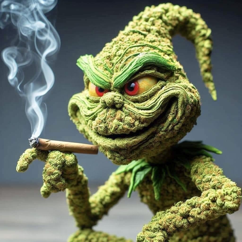 Elparaguayo1231's tweet photo. El verdadero Grinch 🎄 https://t.co/4GbWIdTn52
