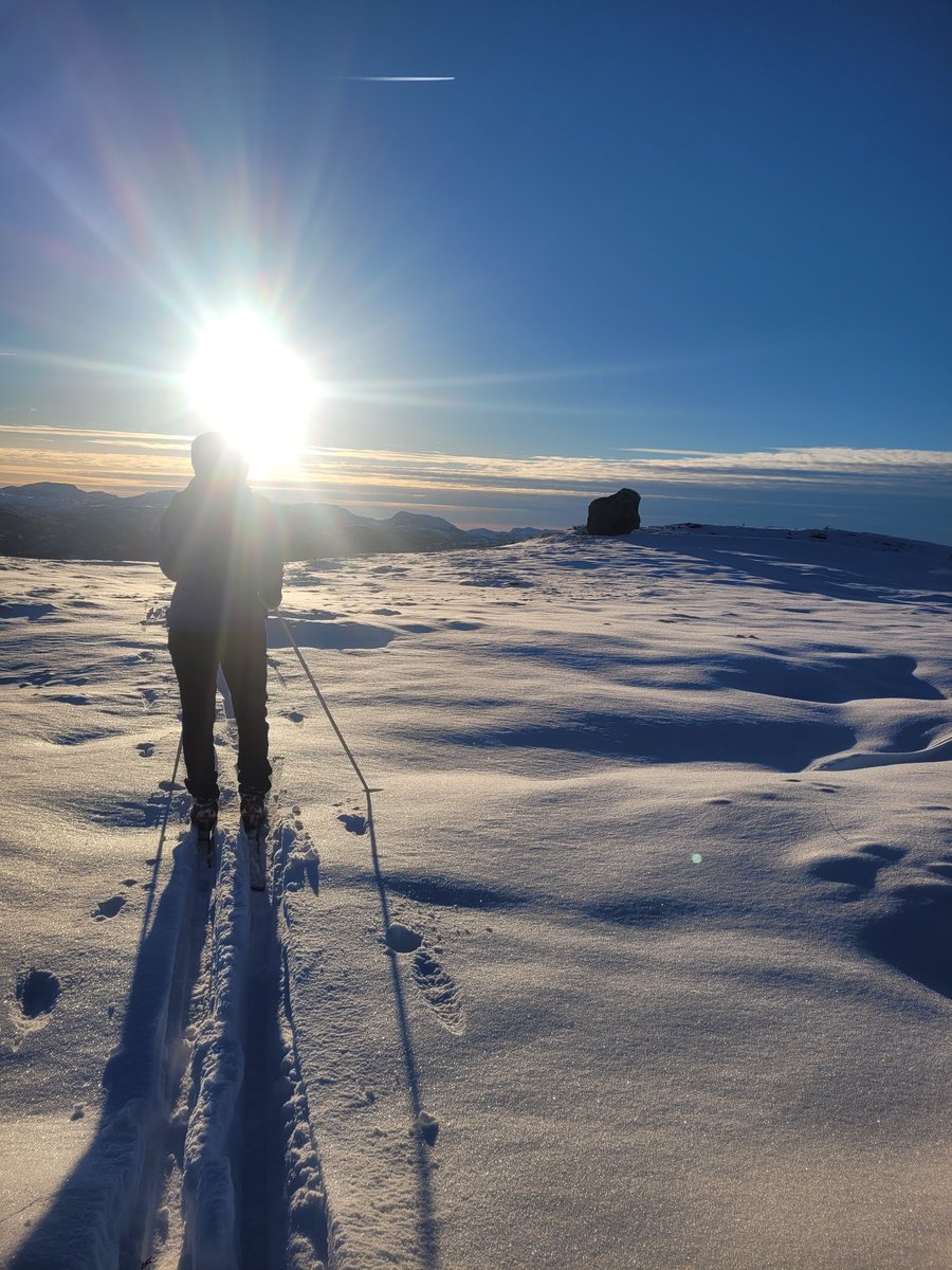 Dagfinn Svadberg Hatløy tweet media