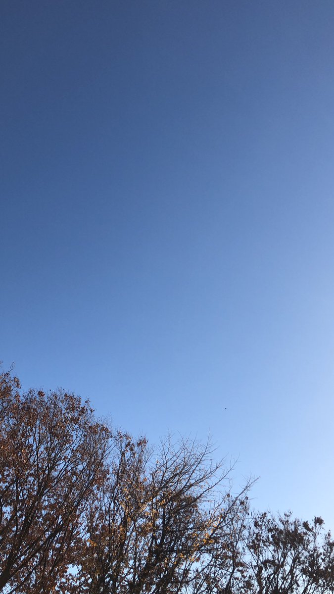 ChampKoji's tweet photo. おはようございます🍀*゜
今日は快晴の東京です☀️
寒くもなく爽やかな朝を迎えています🍃近くでは小鳥のさえずりが聞こえ田舎にいる感じがします🦜目に入る景色は全く違いますが…🏢
みなさんも穏やかで素晴らしい日にしましょう✨ https://t.co/5Nzvnse5Qw
