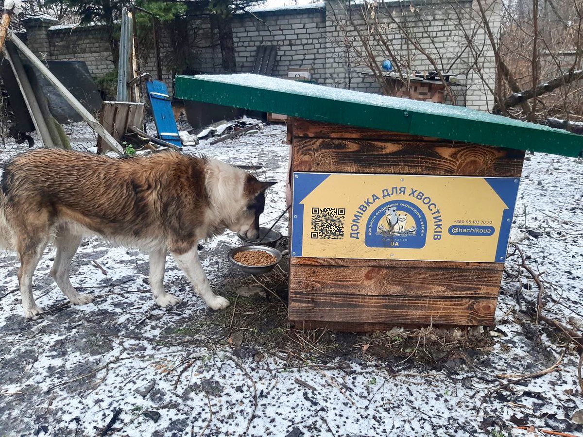 natemook's tweet photo. It’s not just humans, this war takes a huge toll on Ukrainian pets as well—you can see it on their faces. The Hachiko volunteers are distributing more shelters to keep them warm during these winter months. Today was beautifully snowy, but my fingers almost froze. 🥶🇺🇦 https://t.co/bBLvGDBxM0