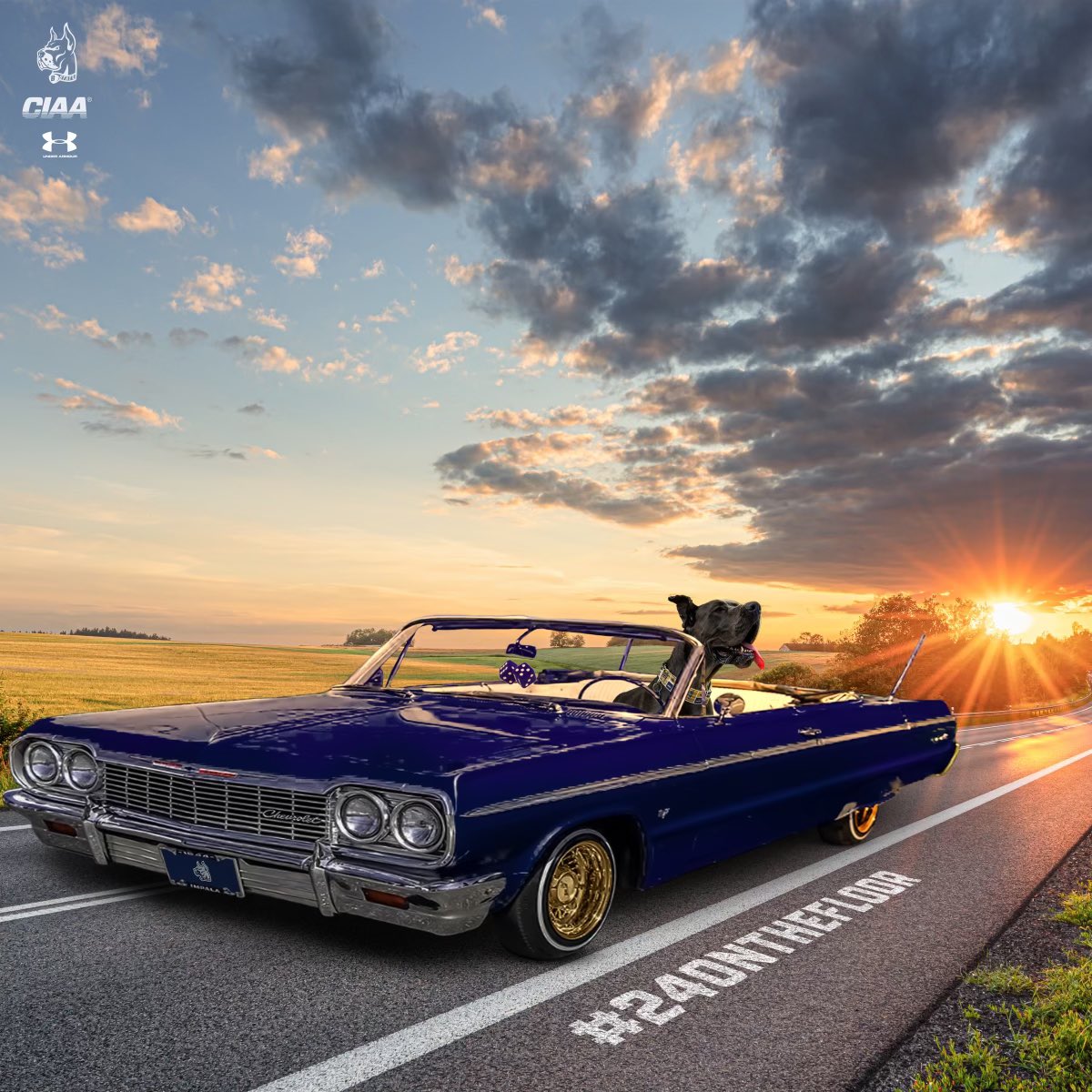 Blessed to receive an offer from Bluefield State University <a href="/Coachsmothers16/">Jeff Smothers</a> <a href="/CoachBMart/">Buddy Martin</a> <a href="/coachzedmunds/">Zach Edmunds</a> <a href="/sconey20/">schuyler c ღ</a>