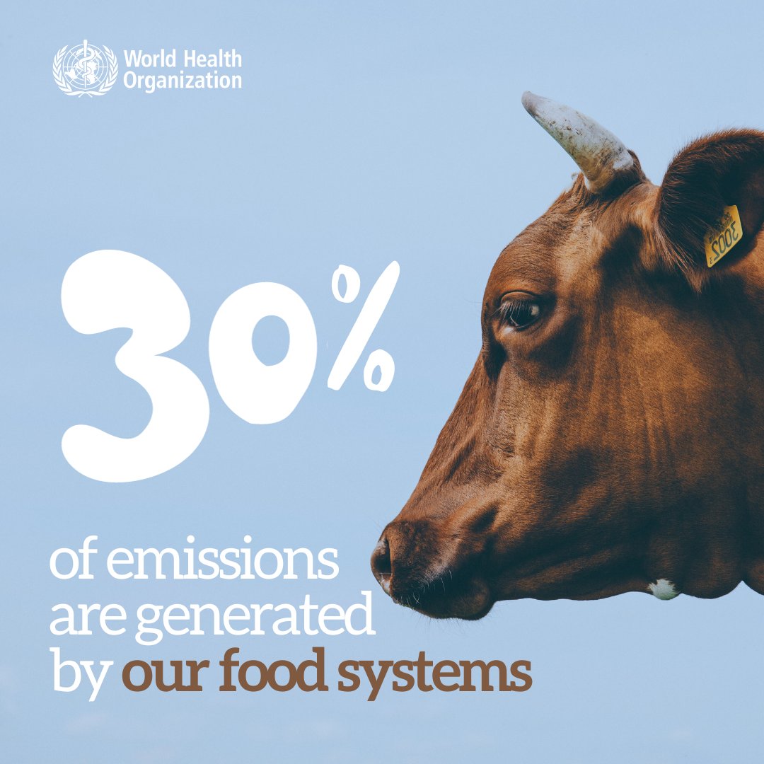 #DYK❓ A change to your diet 🥗 could help fight #ClimateChange. Food systems, especially meat production, are responsible for 30% of global emissions. Plant 🌱 based foods require fewer resources & generate fewer greenhouse gases. For more info 👉bit.ly/3t6pe7B #COP28