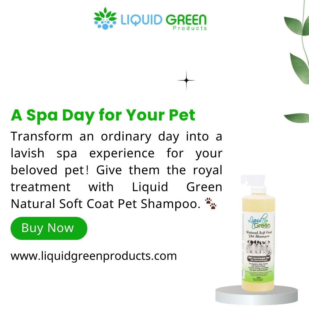 liquidgreenpro's tweet photo. Treat your furry companion to a spa day at home with Liquid Green Natural Soft Coat Pet Shampoo! 🛁🐶 #CaringForPets 🐱 #AtHomeSpaDay 💆‍♂️ #PetsLoveIt 🐨 https://t.co/ECCMF1oz9c