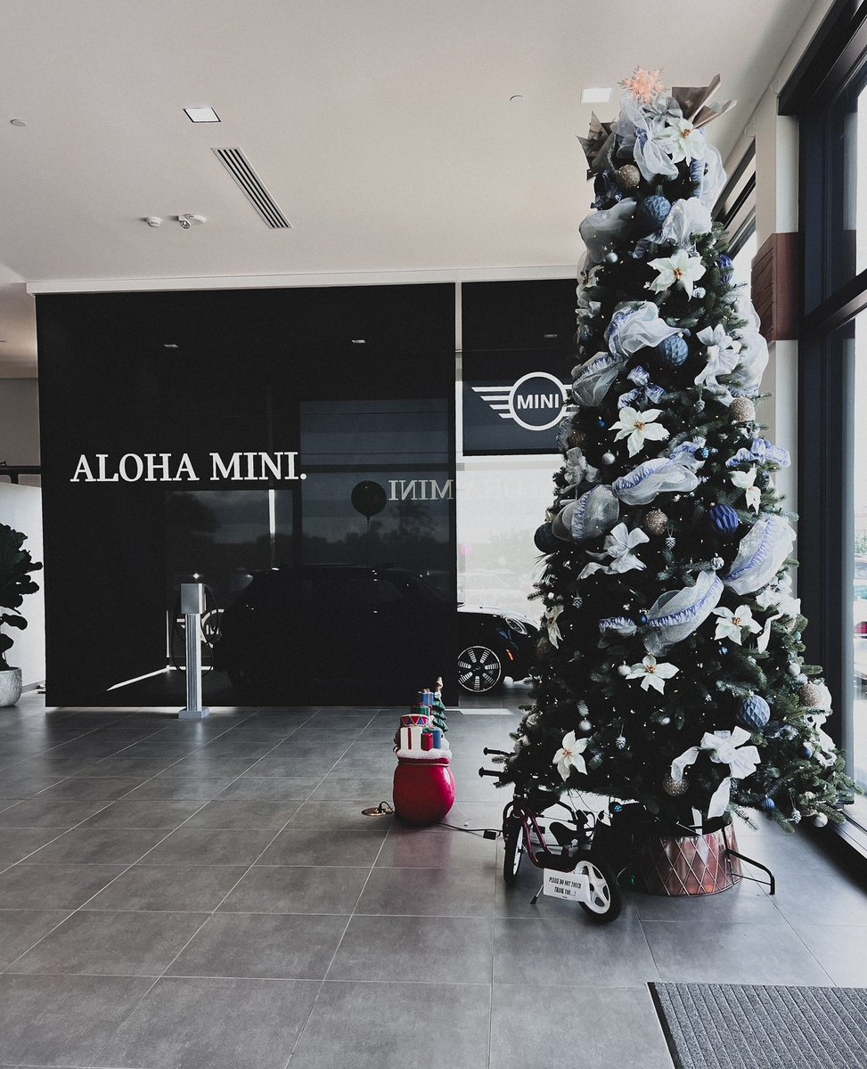MINIofHawaii's tweet photo. Happy Aloha Friday🎄 https://t.co/6mDcpbXbQz