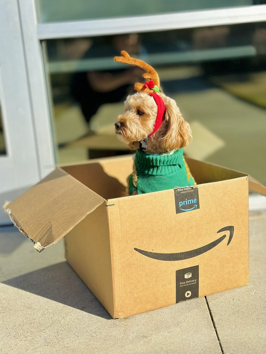 Page_Austin's tweet photo. Thanks @amazon for delivering Max just in time for the holidays! https://t.co/8bIfcKo1On