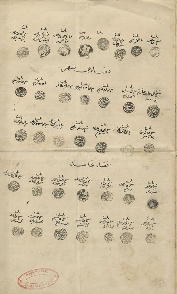 شروق حلي tweet media