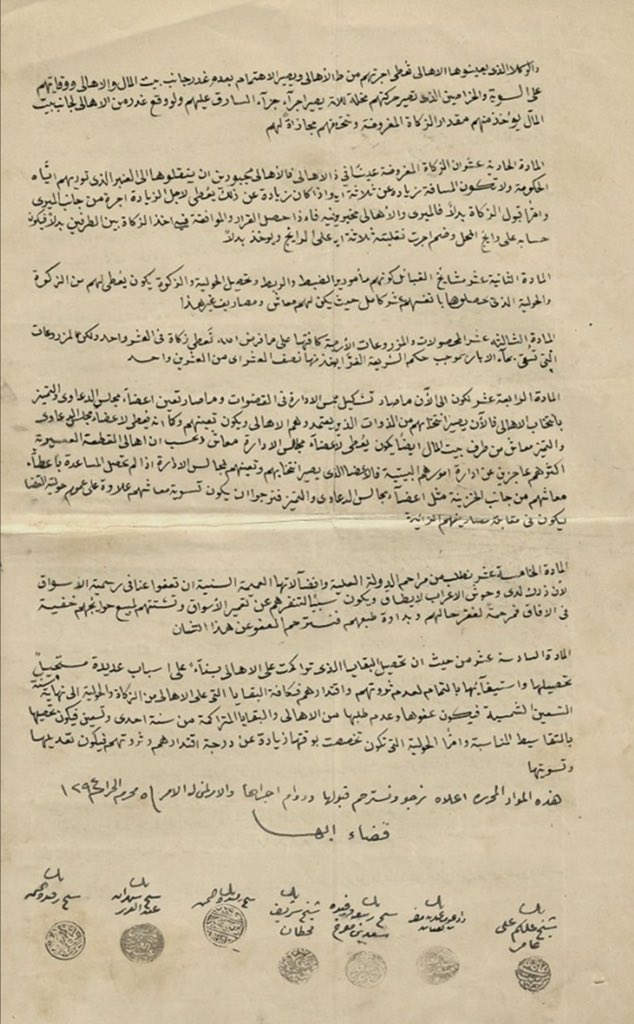 شروق حلي tweet media