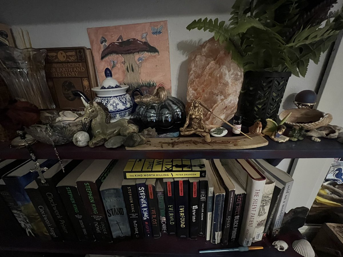 goddessTalulah's tweet photo. look how cute my book shelves are 
send me money so i can buy more books !

paypig | cashcow | whalesub | finsub | cuck | sissy | findom | findomme | humanatm | humanwallet | walkingatm | walkingwallet | walletdrainer | slave | moneyslave | findomgoddess | goddess https://t.co/qPuE2RjKrH
