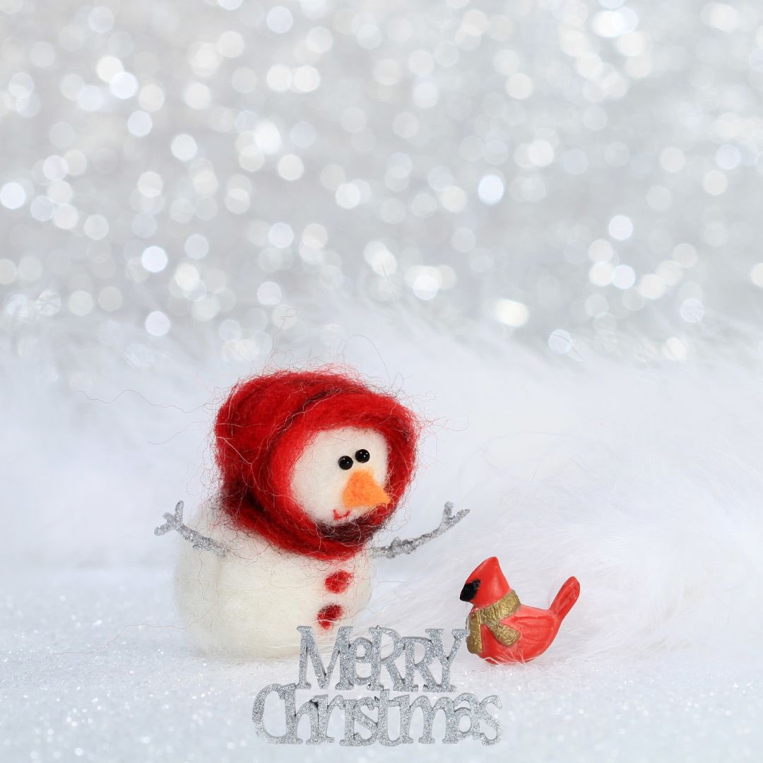 RaeKnightly's tweet photo. BROWSE FOR MIDDLE-GRADE AND YOUNG ADULT BOOKS IN THE COMMENTS!🎁🎄

📚📚📚📚

#ChristmasGiftIdeas #stockingfiller #StockingStuffer #kidlit #Christmasgifts #books #BooksWorthReading #teachersoftwitter #librarians #Parents #middlegrade #youngadult #ShamelessSelfpromoFriday https://t.co/uMwgqgqEka