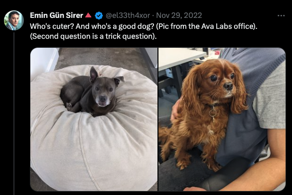 QuasiAVAX's tweet photo. $QUASI

Quasi is born from Avalanche founder and CEO twitter post where he made a pool to vote for the cutest Ava Labs dog.

Burned 3000$ initial liquidity-pool.

All time high 500k+

400+ holders

Trader Joe whitelist and dexscreener paid.

Website v2 incoming.

#AVALANCHE https://t.co/TzudzfdqUP