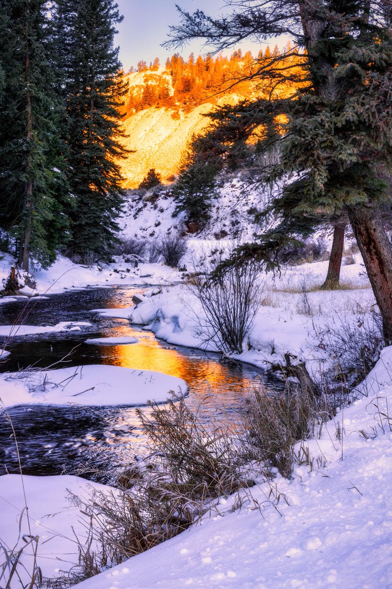 DenverChannel's tweet photo. "There is nothing better than a nice sunrise, a reflection in the water and snow.

📍Gypsum, Colorado"

📸: Sandra Fennessy Photography - Discover Colorado | Through your photos https://t.co/KD9vQ3OEr5