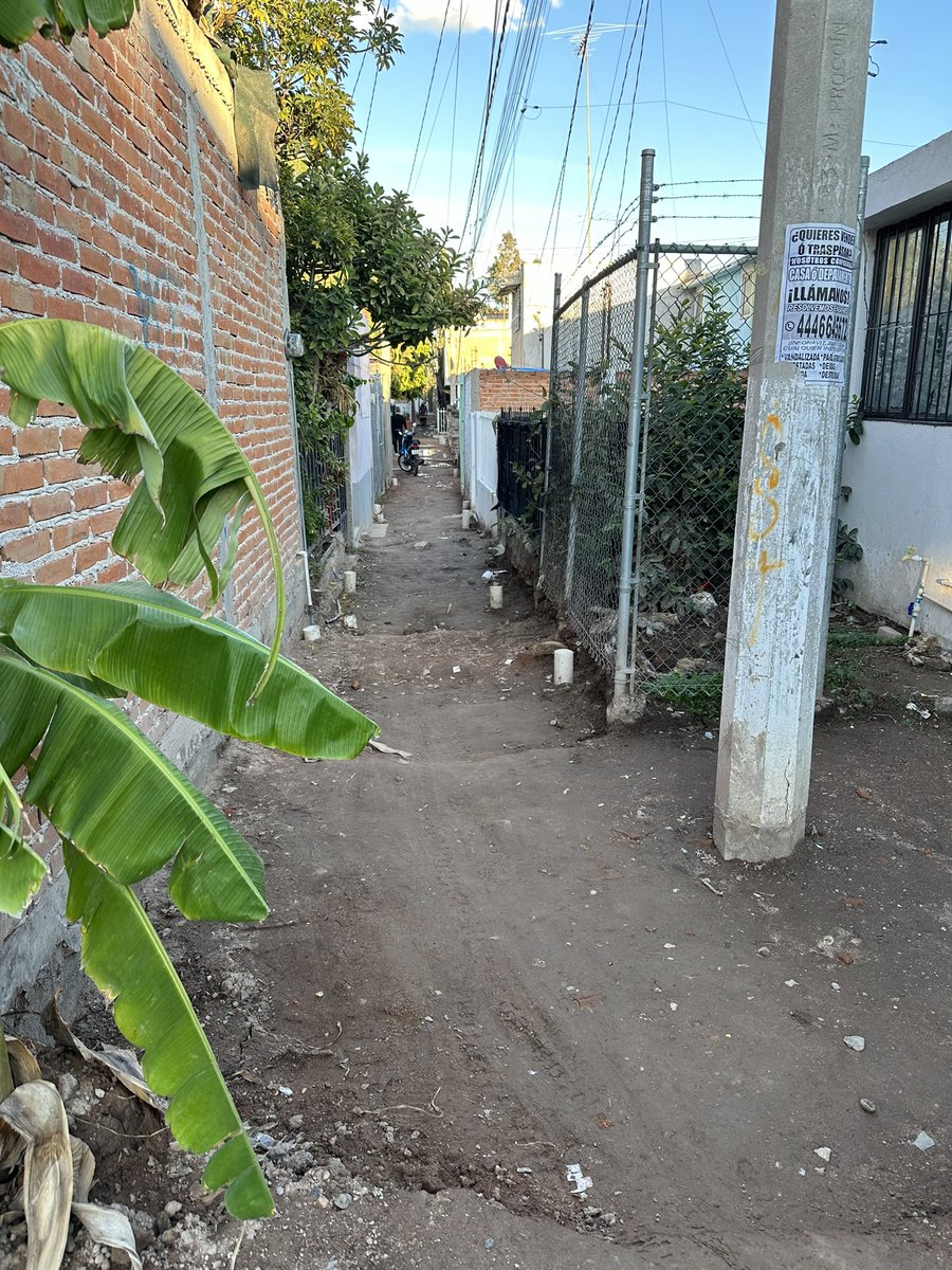 FtmBautista's tweet photo. 9 meses y solo han podido medio empezar, @RGC_Mx @LeonorNoyolaC https://t.co/iupvBlEXIC