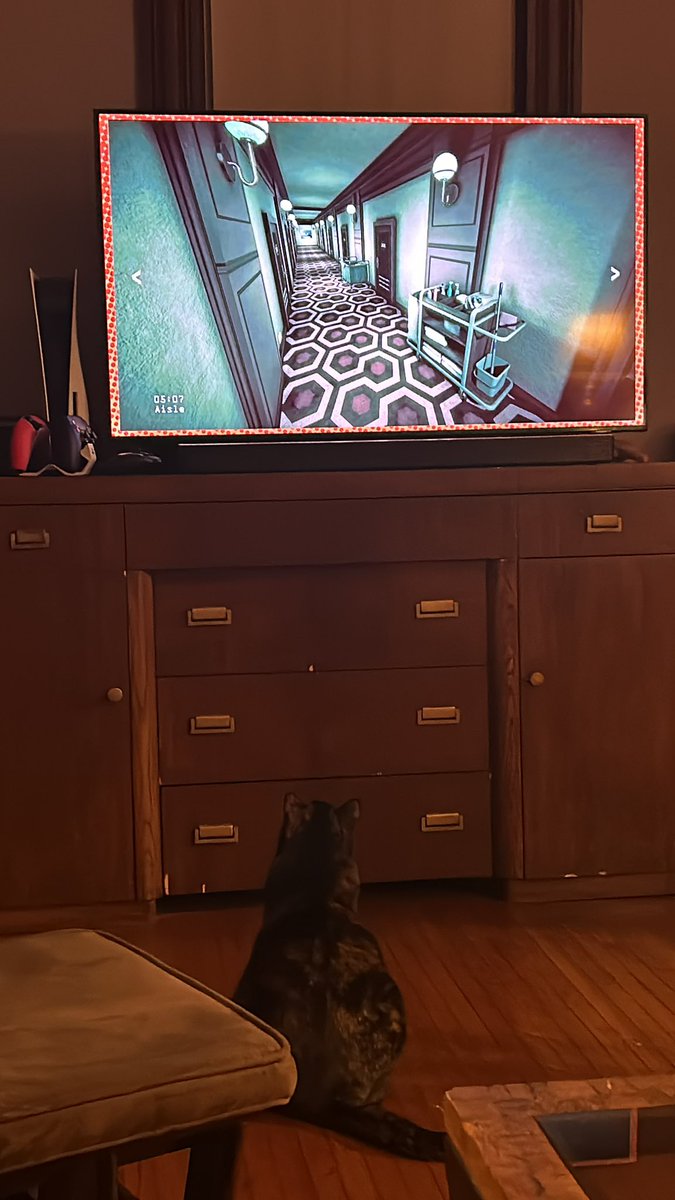 fleonardkid's tweet photo. @egoraptor if nothing else, my cat likes the way you frantically move the cursor. https://t.co/KCkht8s0ms
