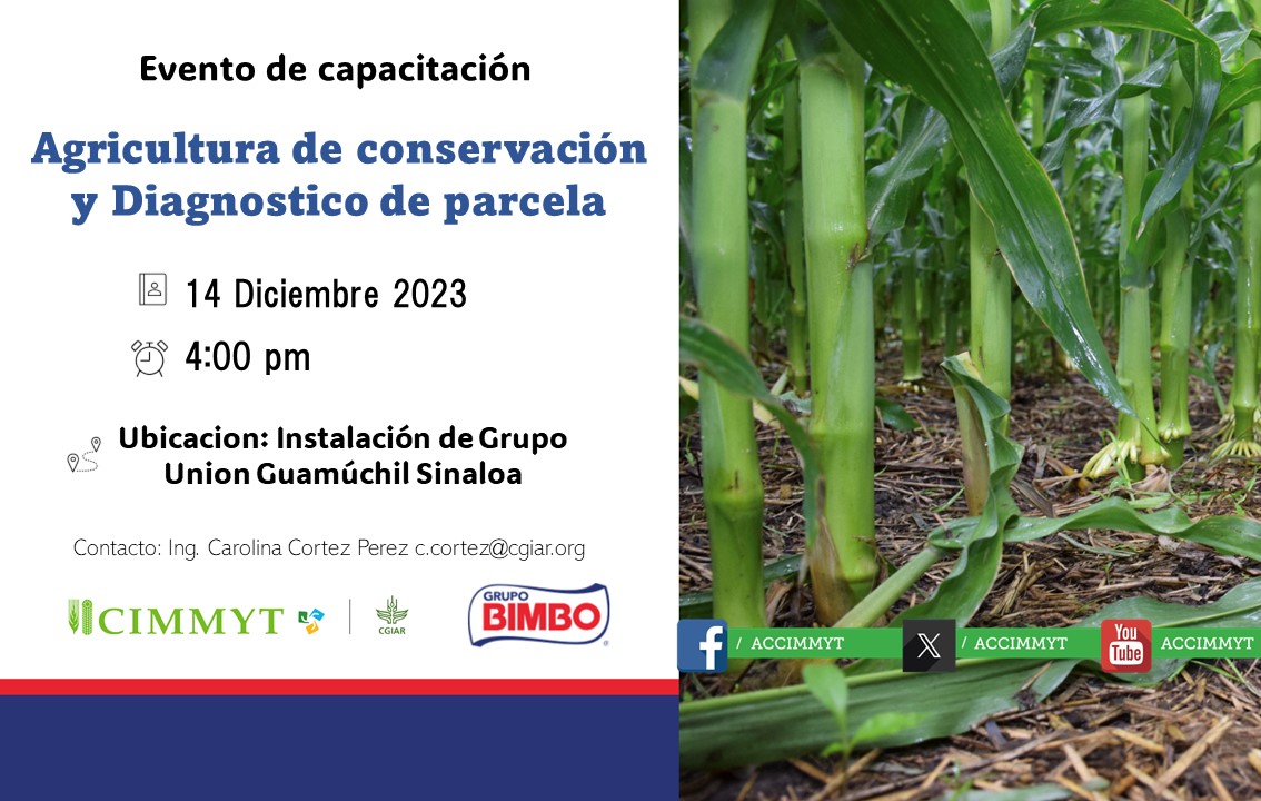 ⚠️#Invitacion #Capacitacion
Productores, Técnicos de la región de Sinaloa.
Invitación abierta a participar en evento de Capacitación.
✅Agricultura de conservacion en cultivo de maiz
✅Diagnóstico de Parcerla
📅14 Diciembre 2023
 ⏰4:00pm
Instalaciones de grupo Union en Guamuchil
