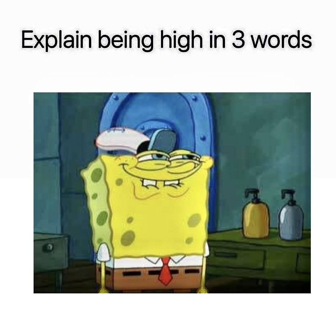 iFlyHigh™ 🎄 tweet media