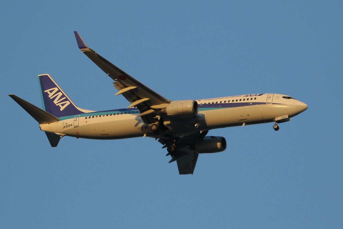 princessarete's tweet photo. #ANA
#NH626
KOJ-HND
#JA65AN
#Boeing737-881 https://t.co/FmiSZgMQGL