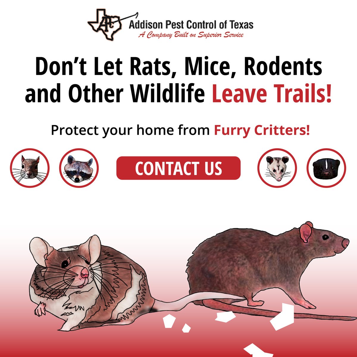 AddisonPest's tweet image. How can you prevent #rodents? Some ideas: Trim overgrown plants. Keep food (including pet food) in the refrigerator or in air-tight containers. Keep outdoor eating areas clean. Regularly remove trash. Keep tight-fitting lids on outdoor bins. Call the #pestcontrol experts at APC!