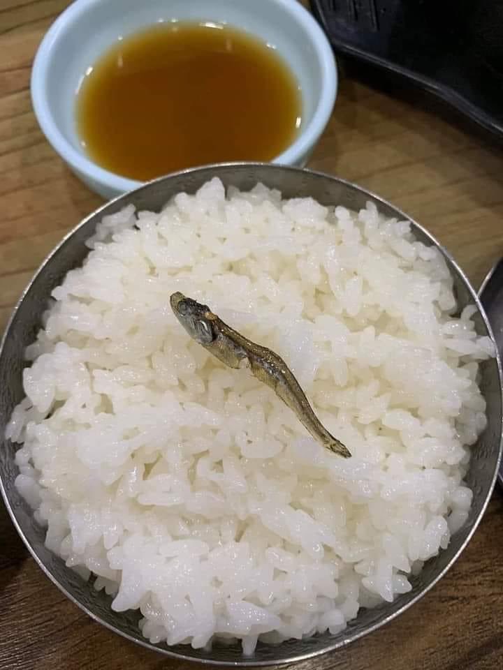 Rickybf's tweet photo. Nay ít thấy mấy anh đăng dậy sớm để thành công nhỉ 😅😅😅

Liệu có phải nguyên nhân do giao thừa không được lì xì nên ai cũng chán nản 😁 

Không có lương thì chỉ có cá mắm mà ăn thôi https://t.co/ToYTCimHgY