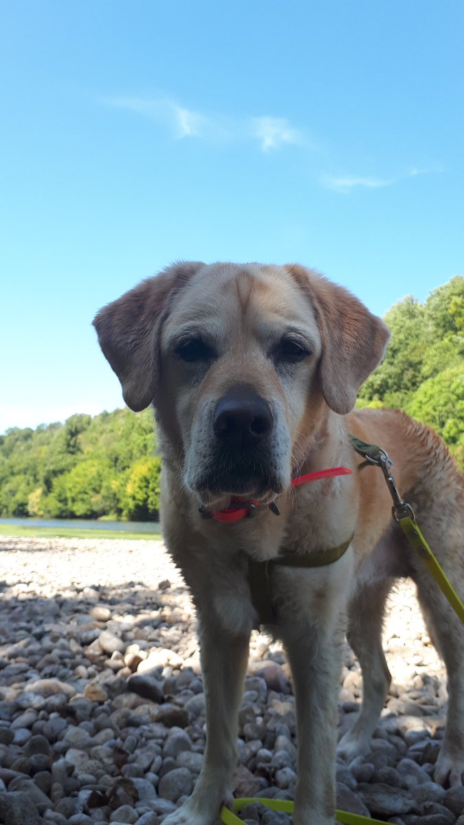 ImkeSingingintherain tweet media