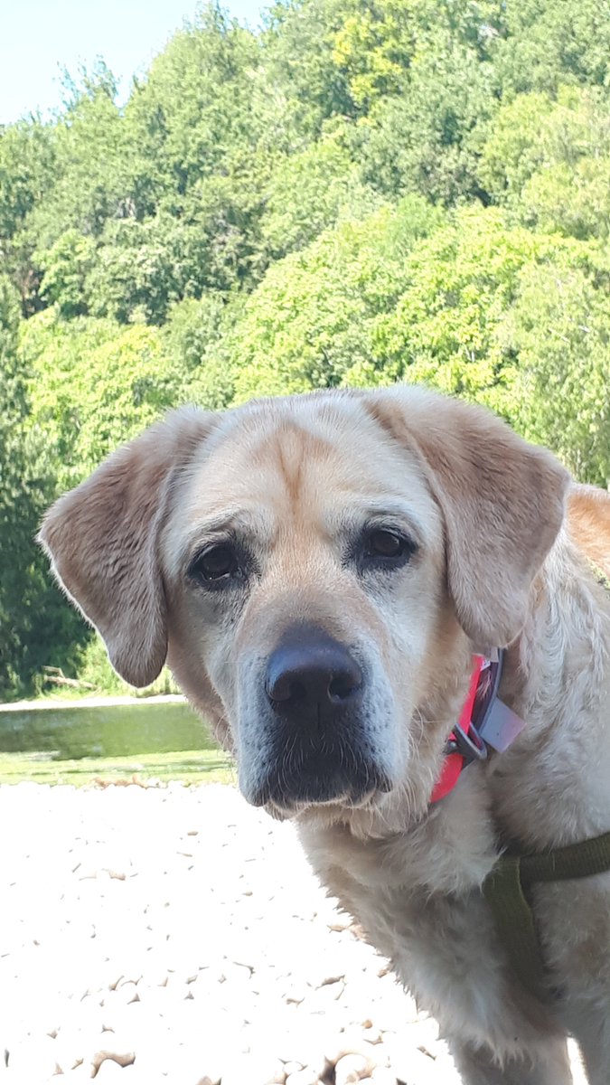 ImkeSingingintherain tweet media