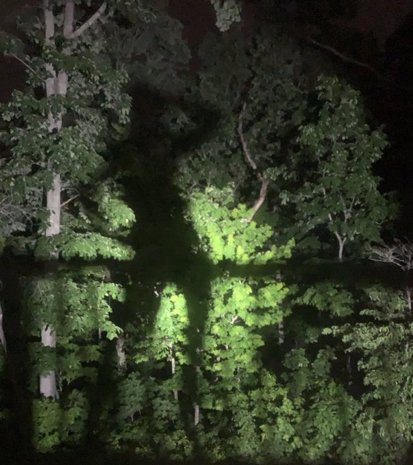 Heard a wild animal in the woods.🐱 #milf #pussy #sexy #nudeoutdoors #nudes exhibitionist #swinger https://t<a href="/tag/milf"class="tags">#milf</a><a href="/tag/pussy"class="tags">#pussy</a><a href="/tag/sexy"class="tags"><span>#sexy</span></a><a href="/tag/nudes"class="tags"><span>#nudes</span></a><a href="/tag/swinger"class="tags"><span>#swinger</span></a><a href="/tag/nudeoutdoors"class="tags"><span>#nudeoutdoors</span></a>