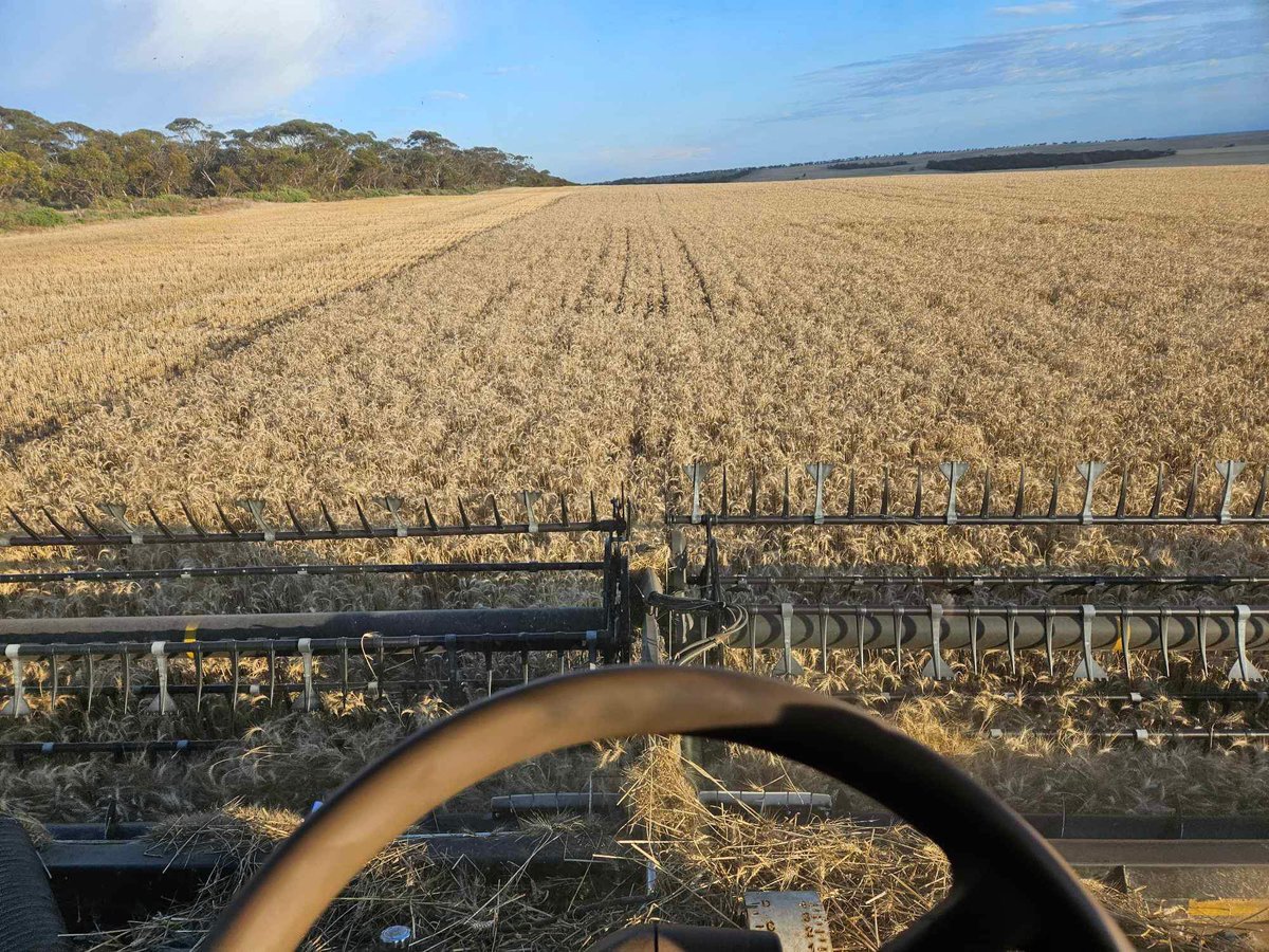 Mick Farley tweet media