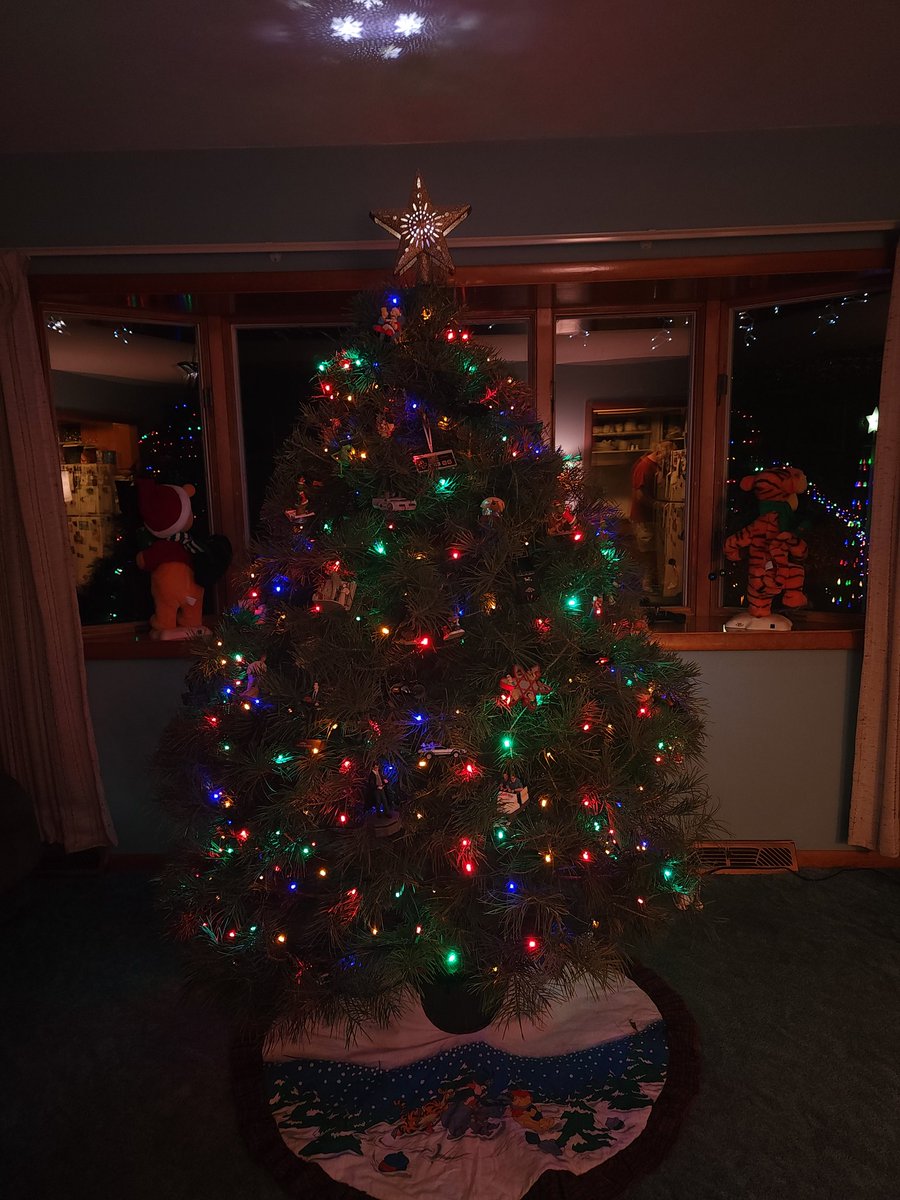 BaeFroman's tweet photo. @CiBabs per your request on @SiriusXMTurbo here is a shot of my decorated X-Mas tree! 🎄🎄🎄  I should point out that having a real tree isn't nearly as dirty as you might think. https://t.co/xSSYCl16QD