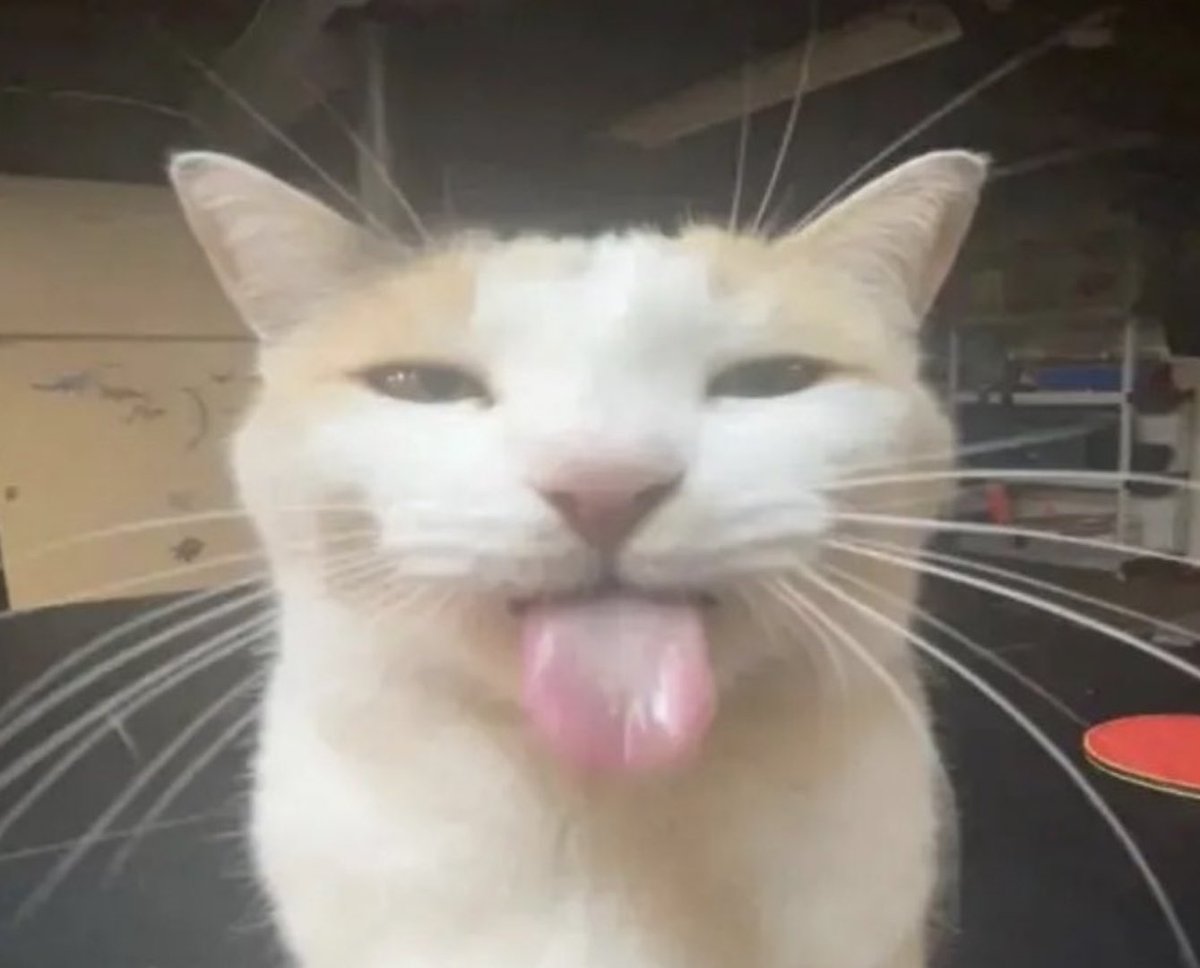 Sackboy genial de Sackboylandia tweet media