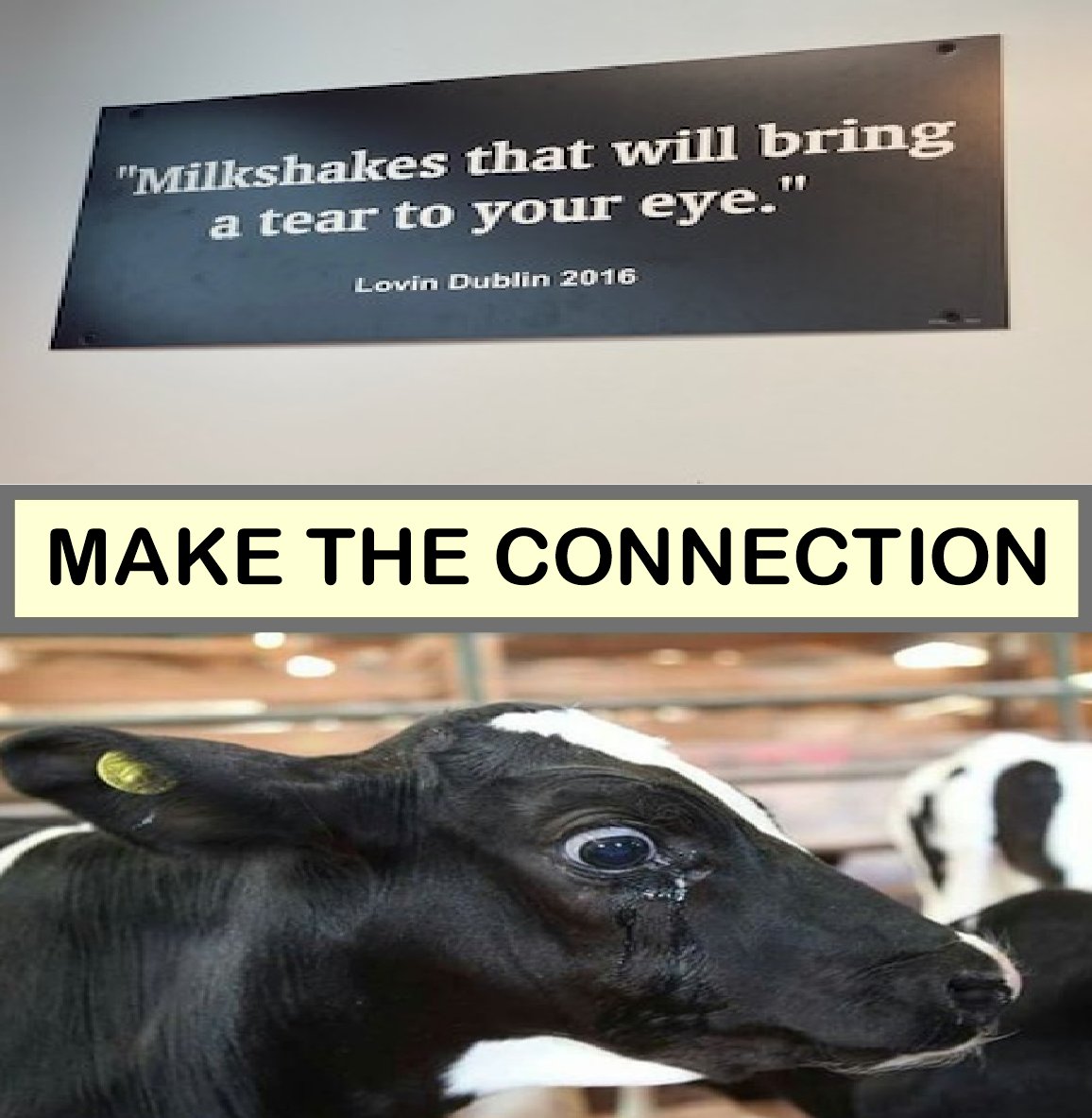 #maketheconnection #milkshakes #quotes #pictures #sad #govegan