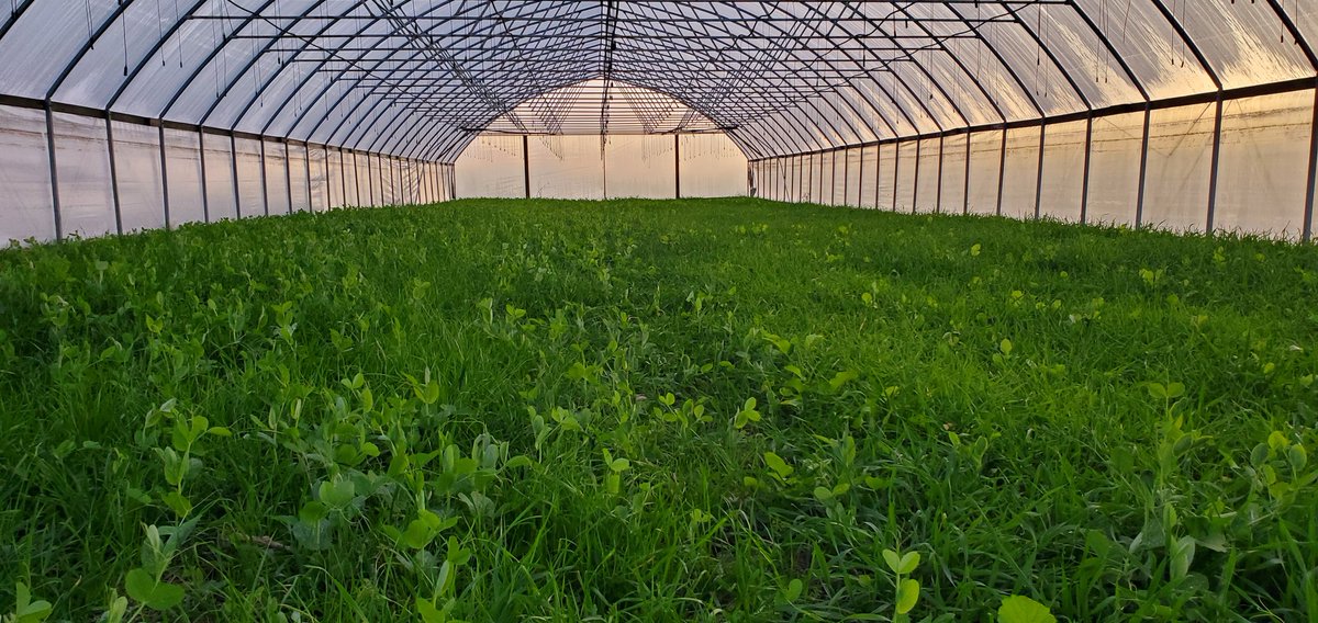 Judson Reid tweet media