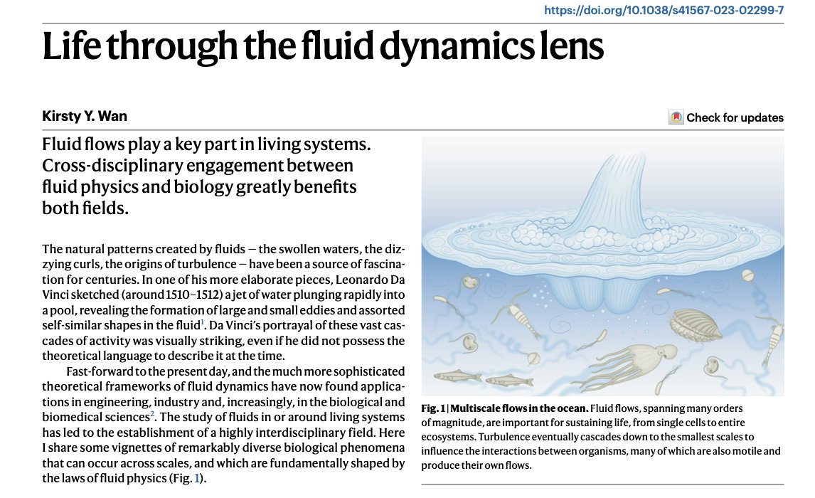 What has biology done for fluid dynamics? I wrote this piece recently for a special collection on the value of interdisciplinary research in biological physics for @NaturePhysics Full article available here rdcu.be/ds8KY