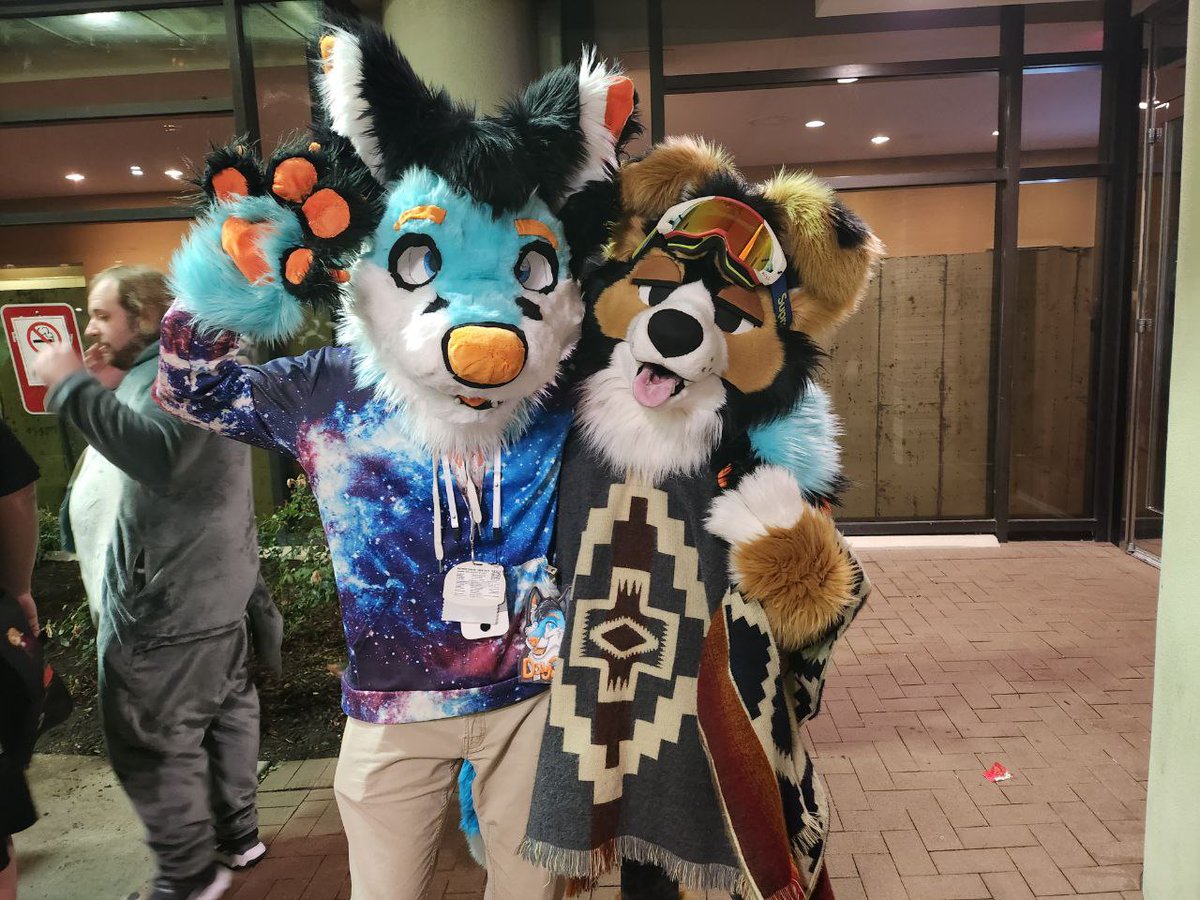 CloudyObsession's tweet photo. MFF Fursuit pictures for #FursuitFriday!! A week ago I got to take DayGlo the Fox (my fursuit) to his first convention!

First pics are the folks I recognize!
@norfdog @FzzyTiger iBolt07 TahoeWolf @MortTheUnwise

Suit by @Zin_Stone
Photos by @JimmyWuff https://t.co/PiRSf01smM