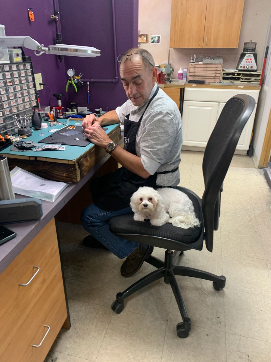 SamiFineJewelry's tweet photo. Pearl (Jill's pup) is earning her keep and learning watch repair... 😉💞 Mike is teaching her the ropes!
#SamiFineJewelry #ShopDogs https://t.co/hoWSxfCWTv