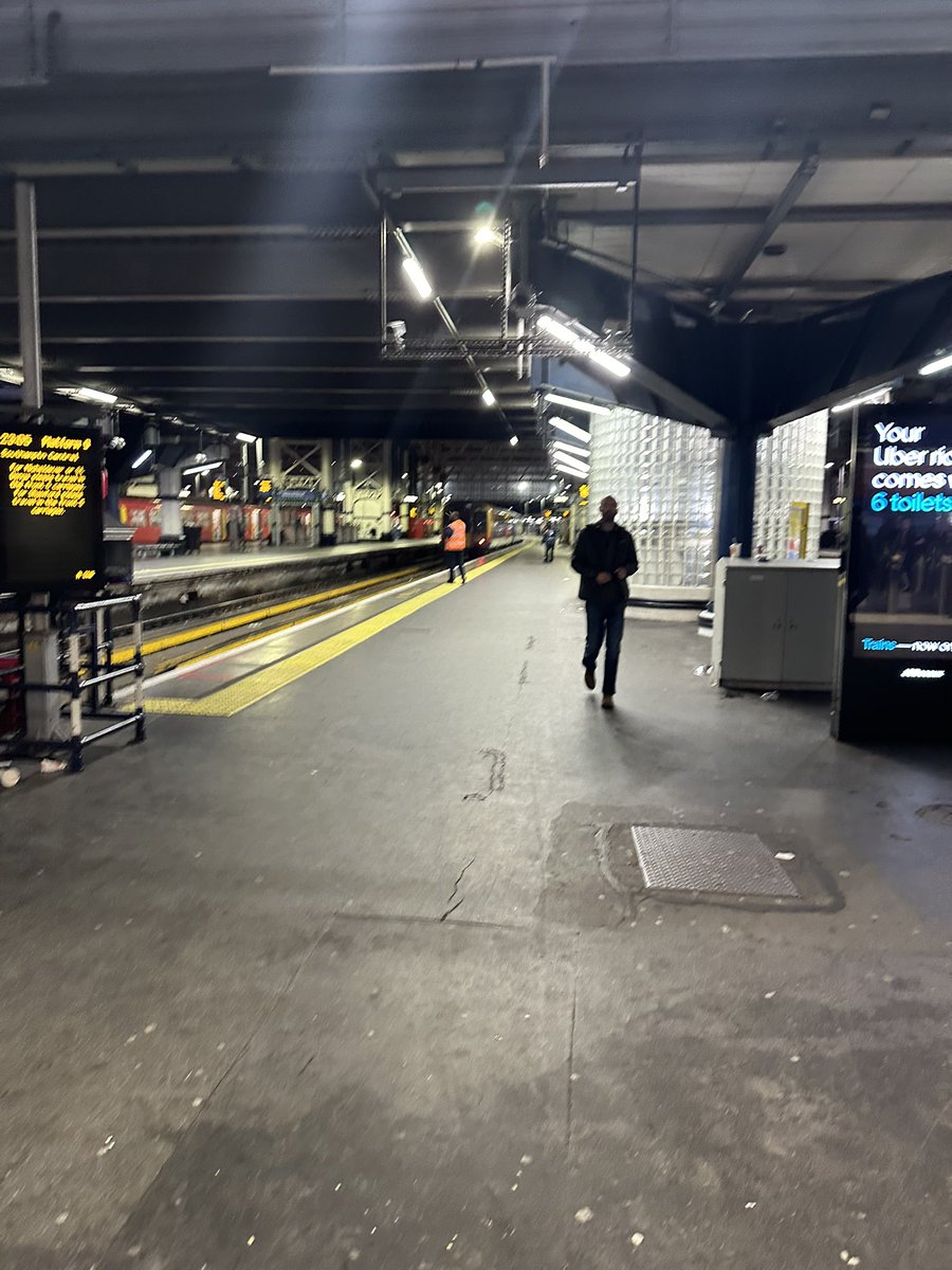 Dr Sophie Nicholls tweet media