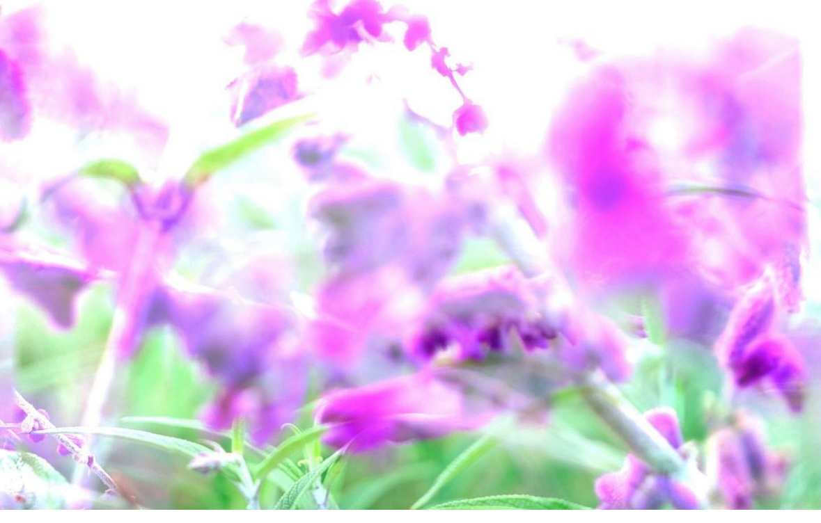 love seeing photographers creating and pushing boundaries with AI. Some of the work reminds me of <a href="/_brettforaker/">Brett Foraker</a>  who has been breaking rules with the camera for decades by making abstract photography with gestures-all in camera. love his Punkflora series.