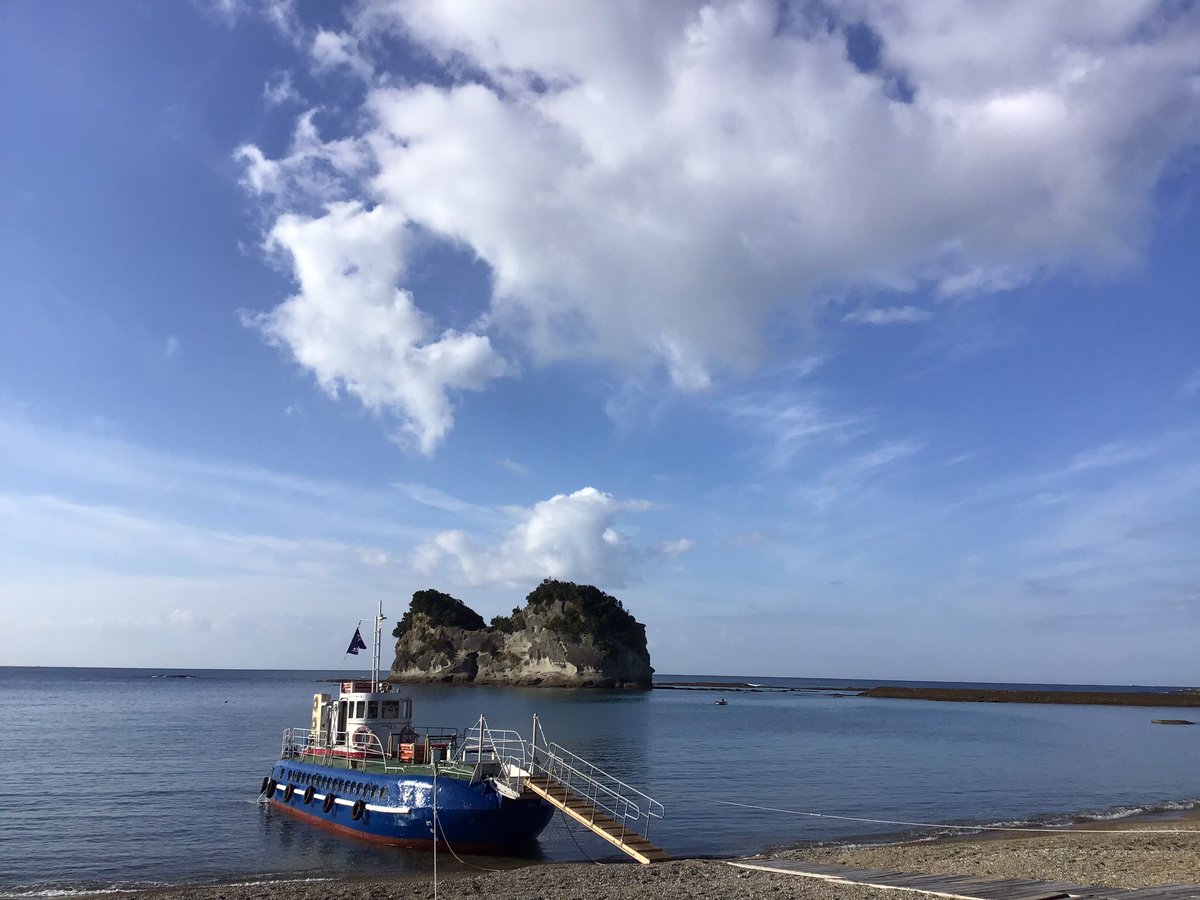 __glassboat's tweet photo. 2023年12月9日(土)グラスボート運航しております⚓️
天気も良く穏やかでポカポカ暖かい透明度もバッチリな白浜です(* ｰ̀ ֊ ｰ́ )و✧
絶好のご乗船日和ですよ！！ぜひ臨海まで足をお運びくださいm(_ _)m
ミルクティにペンギンさんを被って貰ったら全力で嫌がられました(苦笑)
#南紀白浜グラスボート
#猫 https://t.co/EdRluaq2Ik