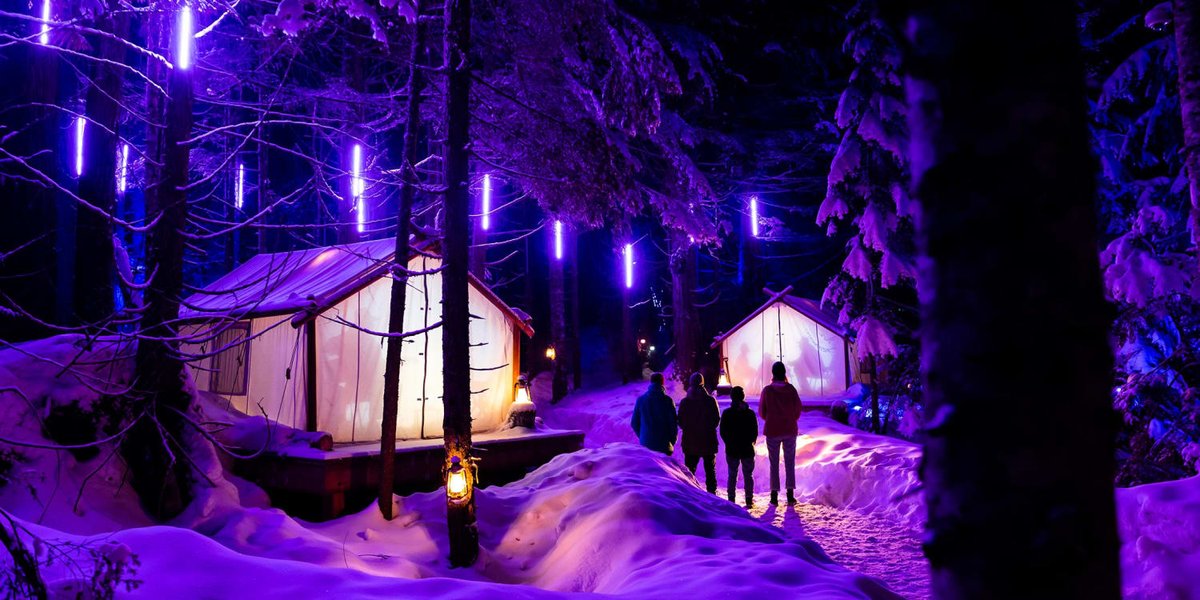 Looking for a magical adventure? Magical nights await in Whistler at Vallea Lumina! @tagwhistler

Don't miss out on this groundbreaking experience!✨

#thingstodoinvancouver
#thingstodoinvancouverwithkids 
#vancouverattractions #insidevancouver
#vancouverisawesome #explorebc #bc