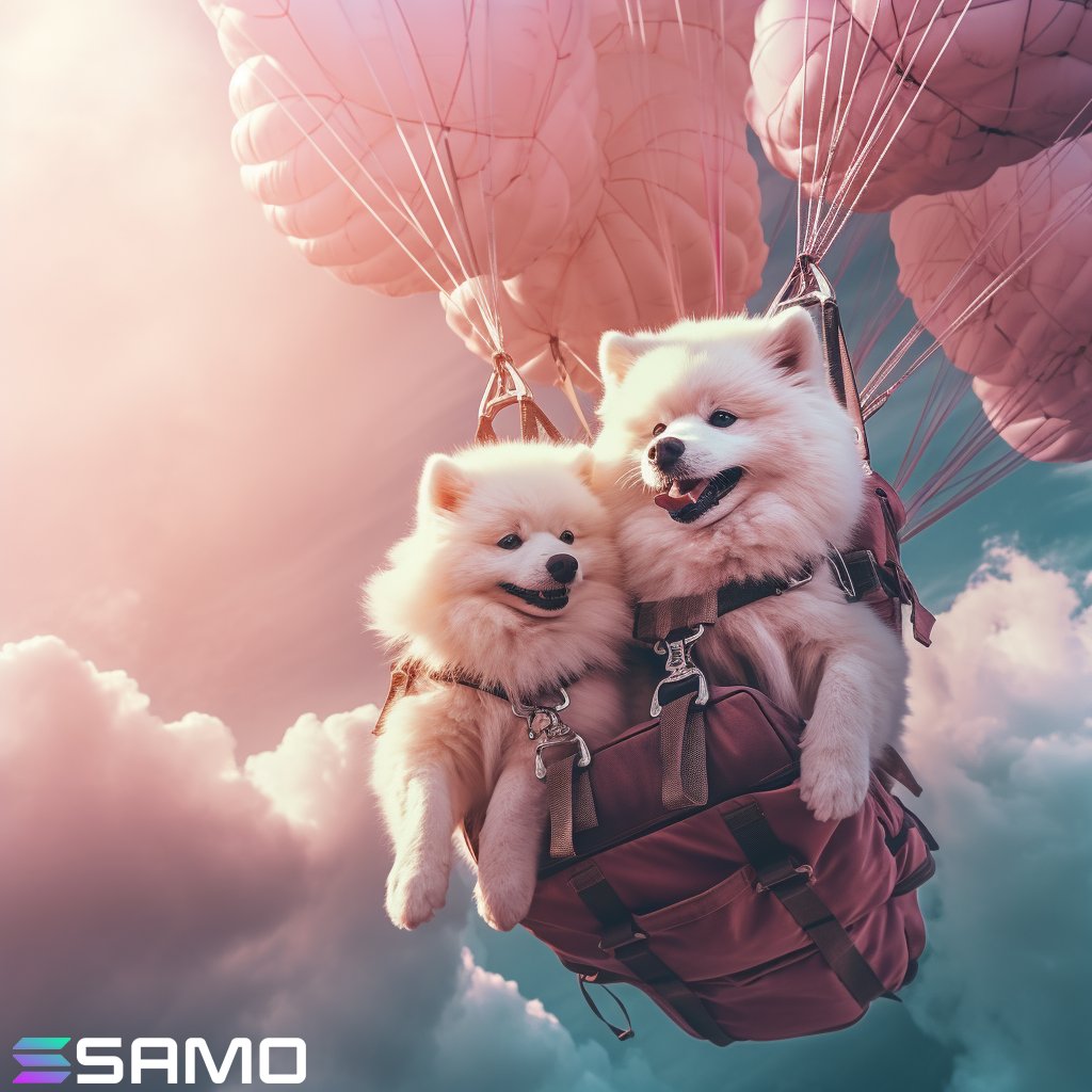 We heard it's airdrop season on #Solana? 🪂

Should we reward some $SAMO holders?